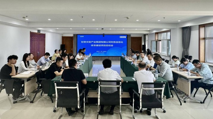 乐玩体育(中国)召开财务信息化体系建设项目启动会