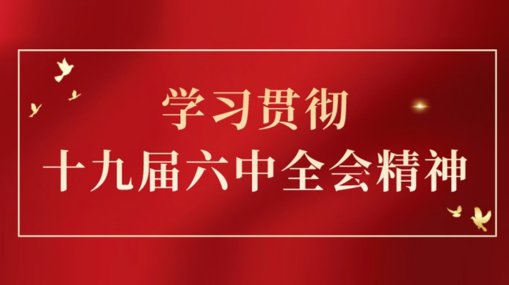 党的十九届六中全会精神在乐玩体育(中国)引发热烈反响