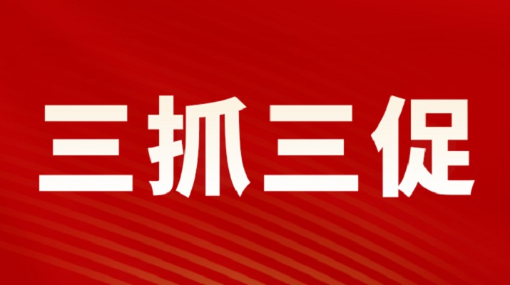 三抓三促进行时丨乐玩体育(中国)召开重点项目调度会