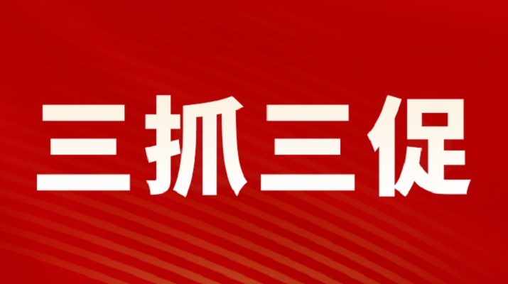 三抓三促进行时 | 乐玩体育(中国)党委专题学习《中国共产党宣传工作条例》