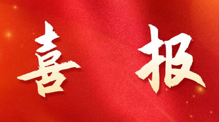 乐玩体育(中国)喜获税务部门表彰