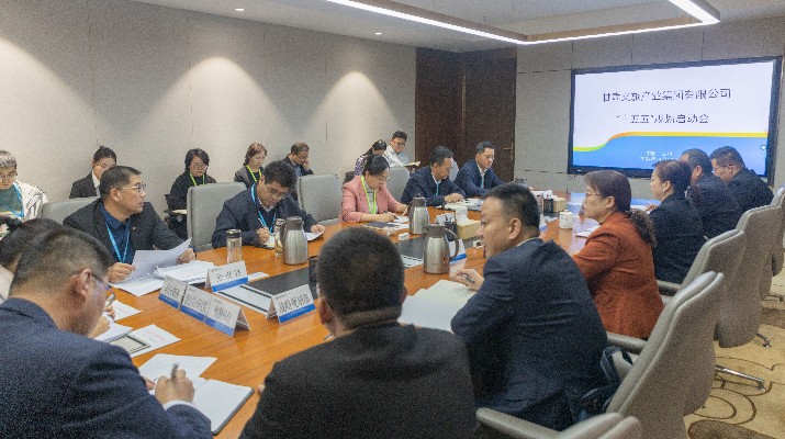乐玩体育(中国)启动“十五五”规划编制